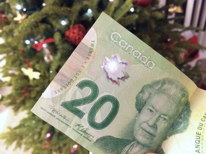 Нові канадські долари (7 фото)