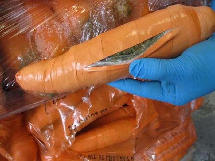 У США намагалися ввезти велику партію марихуани під виглядом моркви (2 фото)