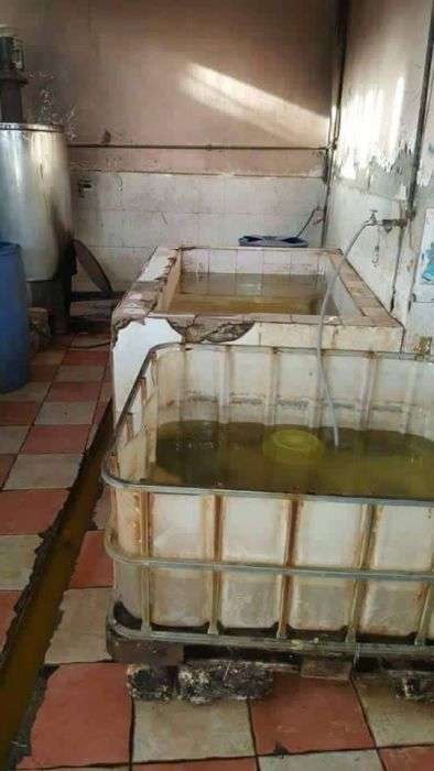 Жахи єгипетського заводу по розливу соку (15 фото)