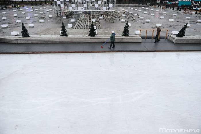 Наслідки аномально теплої погоди в Москві (20 фото)