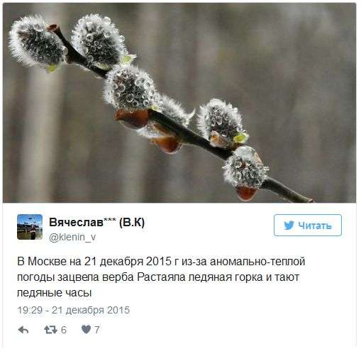 Наслідки аномально теплої погоди в Москві (20 фото)