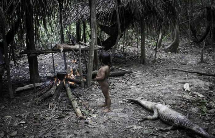 Життя зникає кочового племені Ава (15 фото)