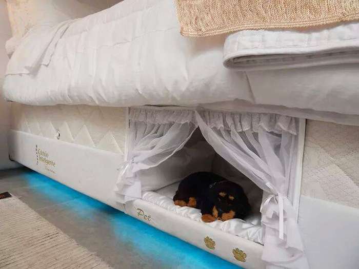 Оригінальна ліжко для любителів домашніх тварин (6 фото)