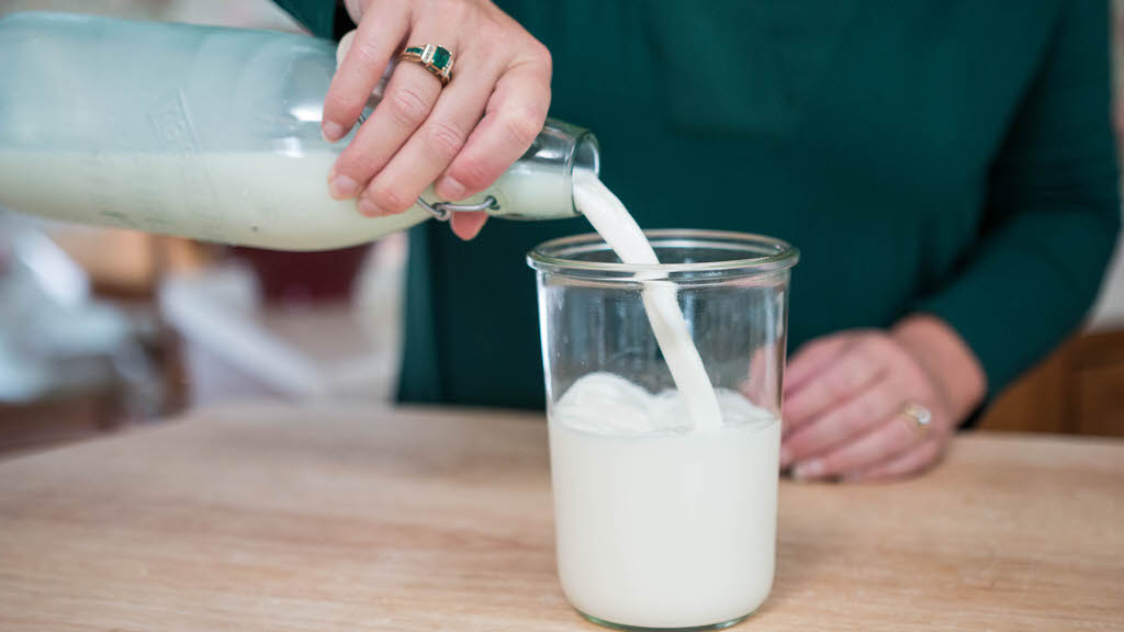 Как сделать домашний кефир из молока? Кефирная закваска с бифидумбактерином Кулинария