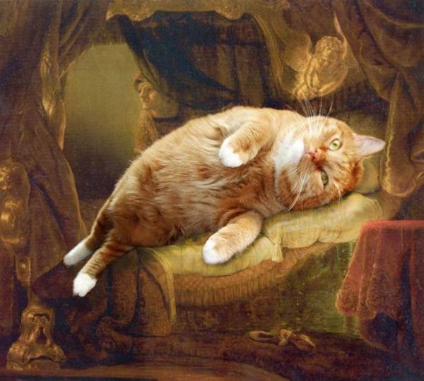 Котики и классическая живопись Интересное