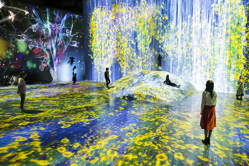 В Японии открыли первый в мире интерактивный музей цифрового искусства Культура и искусство