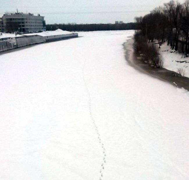 Сліди в невідомість (3 фото)