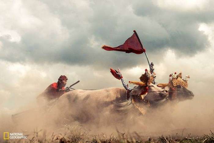 Кращі фотографії, надіслані в редакцію National Geographic, в цьому році (40 фото)