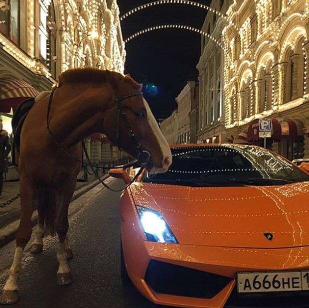 Життя російської золотої молоді в кризу (24 фото)