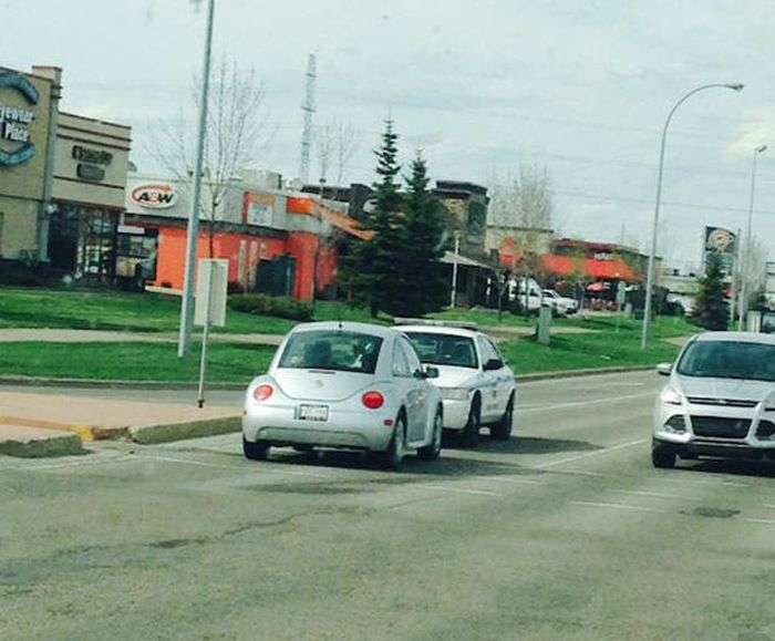 Підбірка невдач (38 фото)