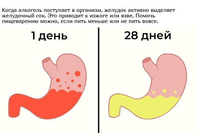 Что будет с организмом, если перестать принимать алкоголь Всячина