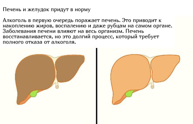 Что будет с организмом, если перестать принимать алкоголь Всячина