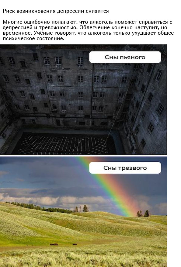 Что будет с организмом, если перестать принимать алкоголь Всячина