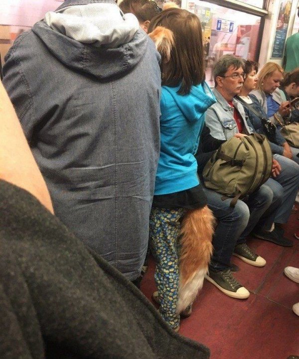 Фотографии со всего мира Всячина