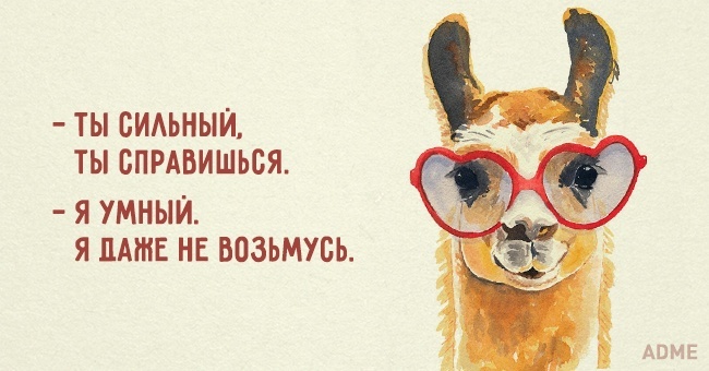 Подборка позитивных карточек ЖИЗНЬ,СМЕШНО