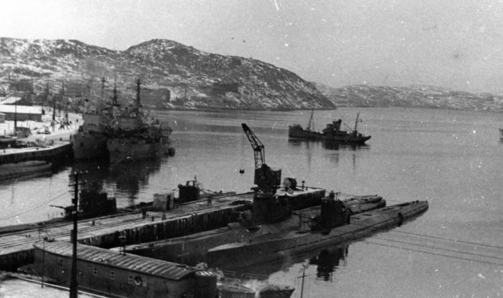 Северный флот: война за Полярным кругом История