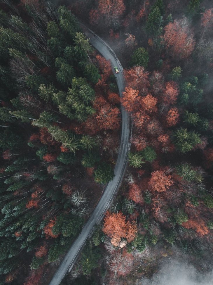 Лучшие фотографии Международного конкурса автопутешествий-2019 Интересное