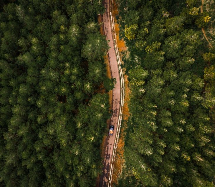 Лучшие фотографии Международного конкурса автопутешествий-2019 Интересное