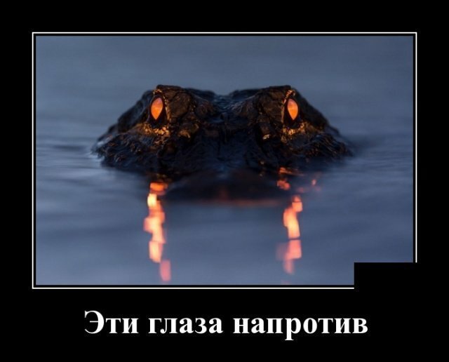 Демотивируй   юмор