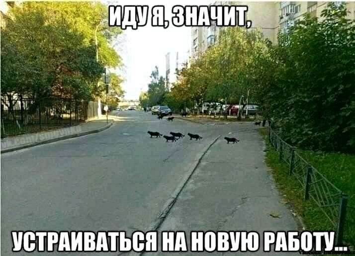 Прикольные и смешные картинки за 05 июля 2019   Интересное