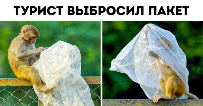 16 щемящих фото, которые показывают, как далеко мы зашли в разрушении Земли Интересное