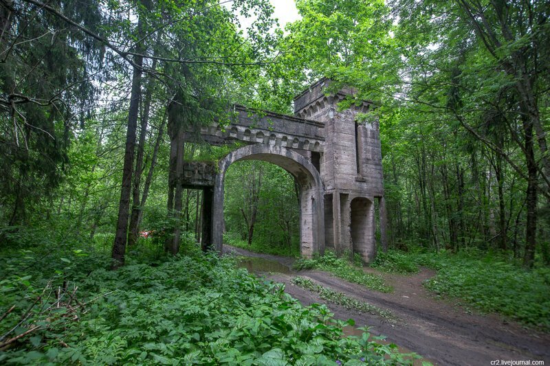 Новгородская область. Усадьба Заветное — остатки «малого Версаля» посреди леса   Интересное