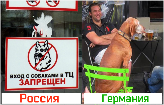 11 странных привычек немцев Интересное