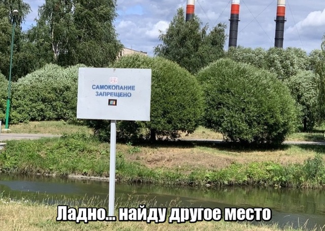 Подборка прикольных картинок позитив,смешные картинки,юмор