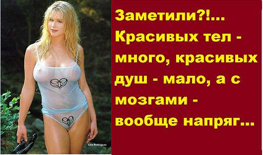 - Дорогой, я сегодня вся на нервах, не спрашивай почему... весёлые, прикольные и забавные фотки и картинки, а так же анекдоты и приятное общение