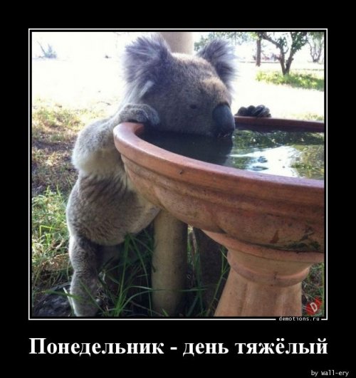 - Изя, давай откроем ювелирный магазин где-нибудь на Пятой авеню! - Ваня, давай лучше так: ты откроешь, а я буду на шухере стоять анекдоты,демотиваторы,приколы,юмор