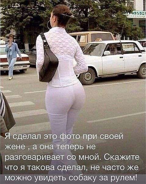 На въезде в Одессу патрульный останавливает авто: - Почему нарушаете?... Весёлые,прикольные и забавные фотки и картинки,А так же анекдоты и приятное общение