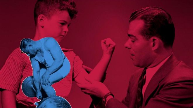 Животные инстинкты: как наша внешность управляет нашей личностью наука,психология,эволюция