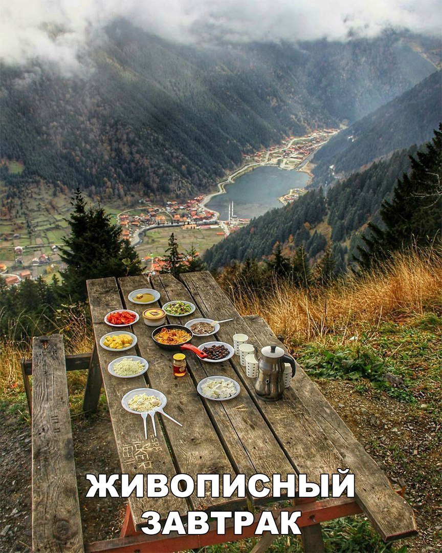 Подборка веселых, милых и забавных фотографий с надписями из сети картинки с надписями,приколы,прикольные картинки,смешные комментарии,угарные фотки,юмор