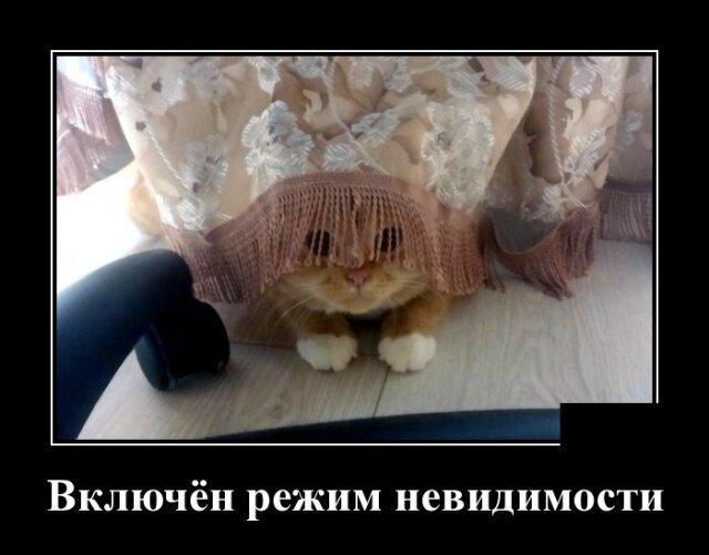 Подборка зачетных и смешных демотиваторов из нашей жизни демотиваторы свежие,приколы,смешные демотиваторы,юмор