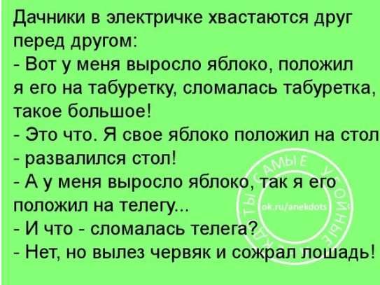 Утро. Гостиница. Болит голова. Капитан подходит к окну, открывает… Юмор,картинки приколы,приколы,приколы 2019,приколы про