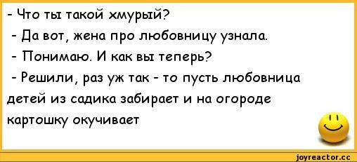 Смешные анекдоты в середине недели анекдоты