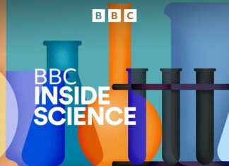 Naukowcy stworzyli bioniczne oko?