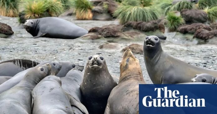 475ea65c-2ded-4e45-a203-ad9c619a1a8d