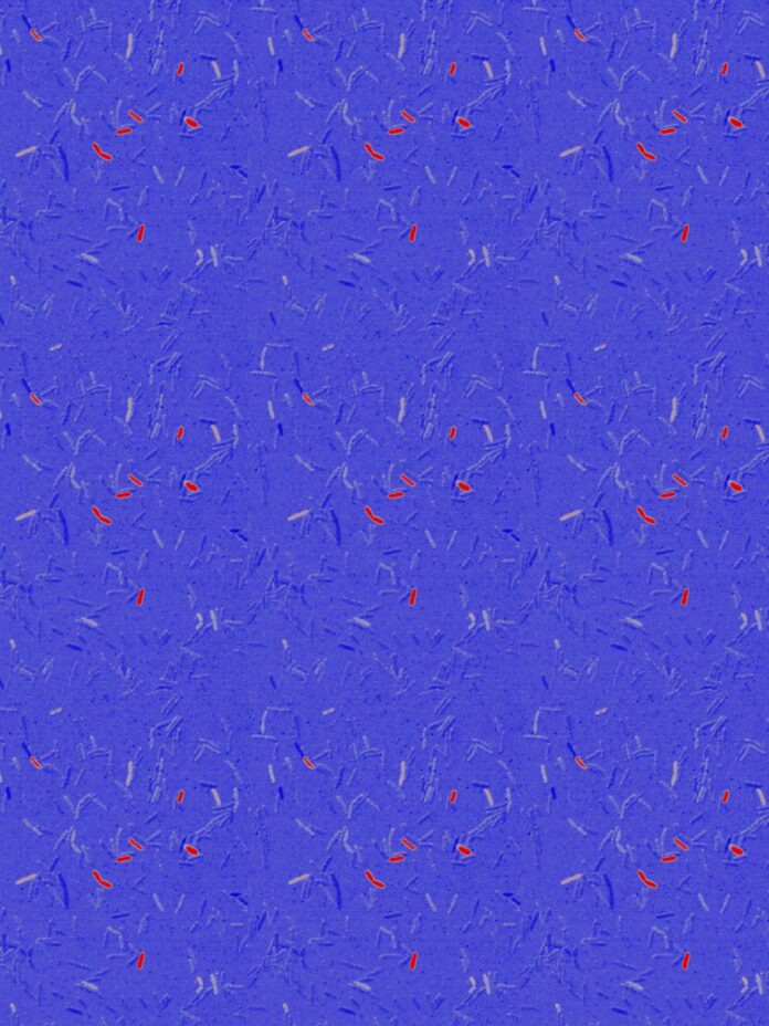 4b0ae1e5-49b3-4af2-ba74-b7c1672a1a5d