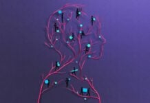 Надзвичайний вплив лімфатичної системи на наше здоров’я