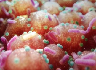 Дослідження показує, що звичайні ліки можуть роками змінювати роботу кишечника