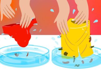 Nauka o strojach kąpielowych, Lego Star Trek i preferencje muzyczne myszy