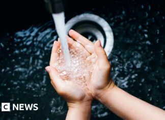 Zásobování vodou ve Spojeném království: Globální generální opravy, překvapivé inspekce a účinnost