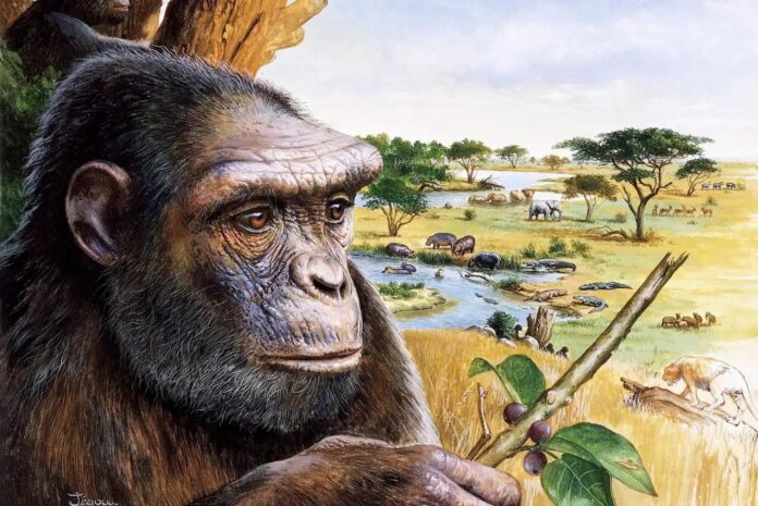 4fc17876-5383-4b33-bc33-ef3e31f421c6