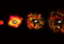 Star Disappears Without Supernova: A Rare Black Hole Formation Observed