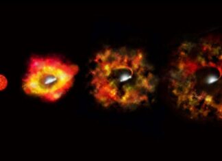 Star Disappears Without Supernova: A Rare Black Hole Formation Observed