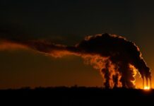 Emisje w USA wzrosną w związku ze wzrostem cen węgla w 2025 r