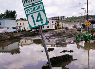 Las leyes de responsabilidad climática cobran impulso en todo Estados Unidos a pesar del rechazo legal