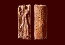 Ранні Символічні Системи Передували Листу на 35 000 років