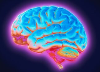 Parkinsonova nemoc spojená s nově identifikovanou mozkovou sítí